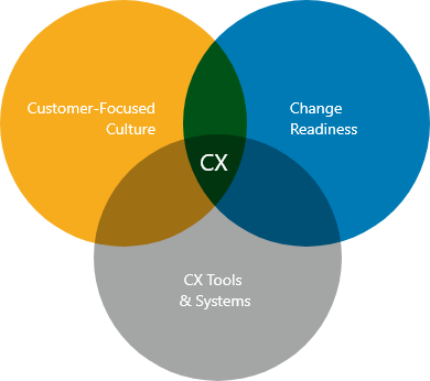 CX: Customer-Focused Culture, Change Readiness, CX Tools & Systems 